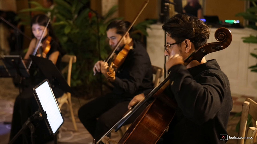 Cuarteto de cuerdas 