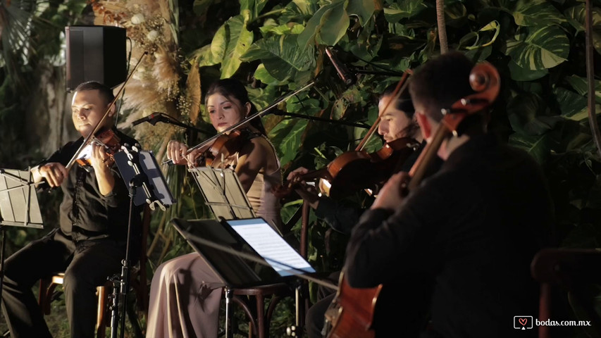 Cuarteto de cuerdas 