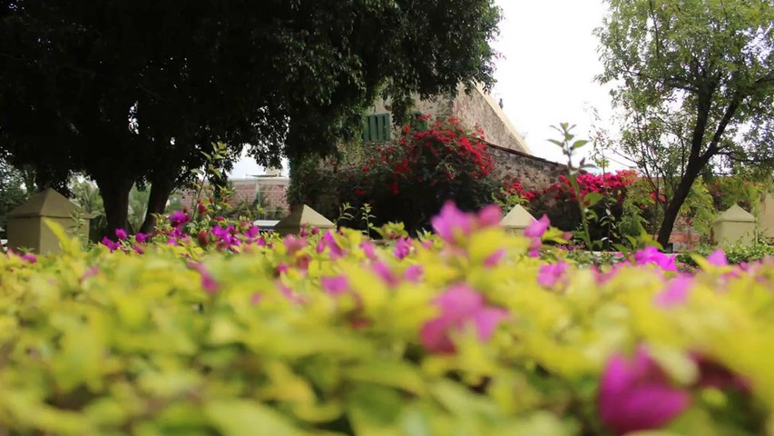 Ex Hacienda El Tintero 