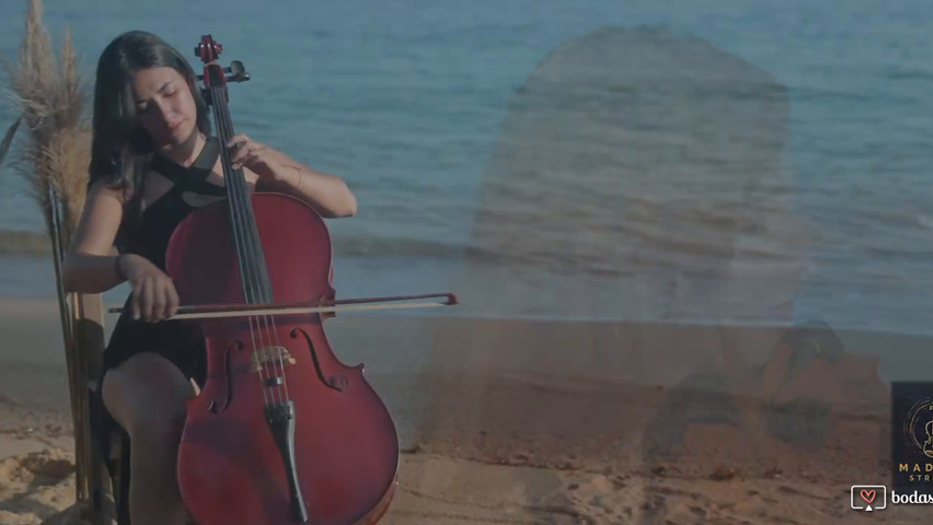 STRING TRÍO 