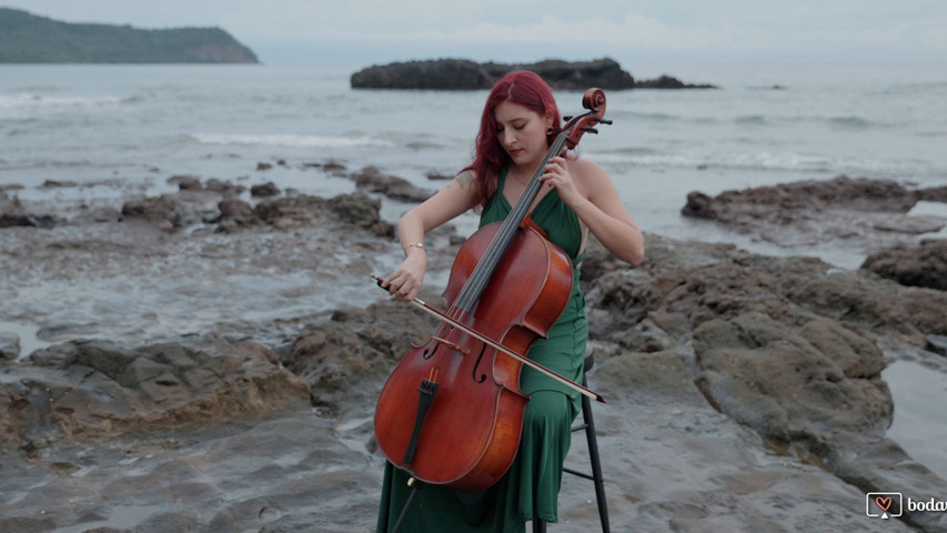 Violonchelo solista 