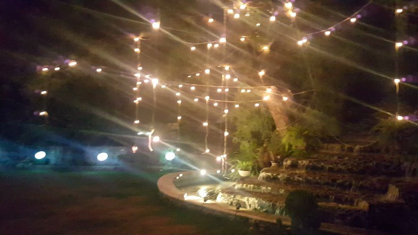 Vista nocturna del jardín