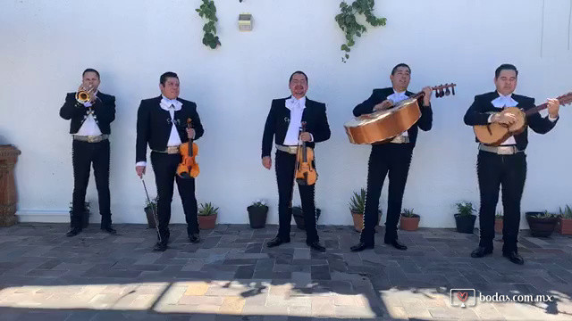 Mariachi Cabo