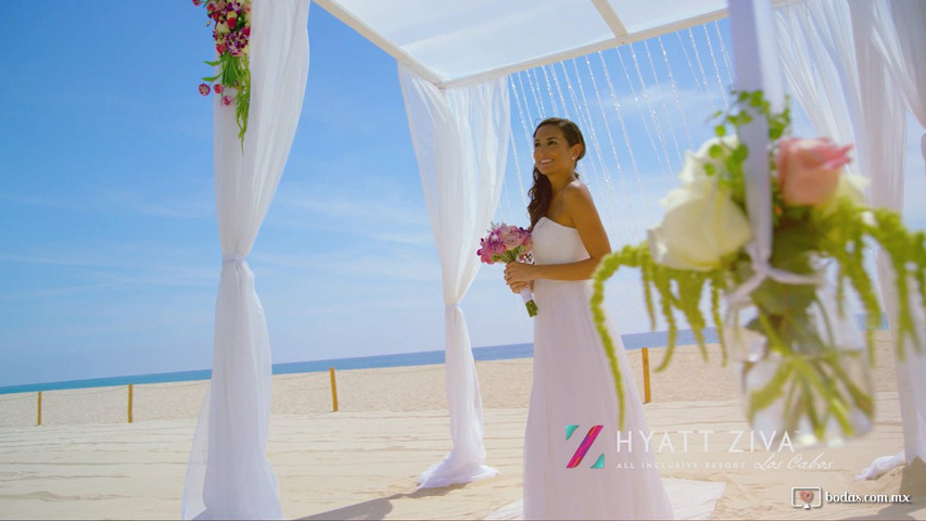 Hyatt Ziva Los Cabos