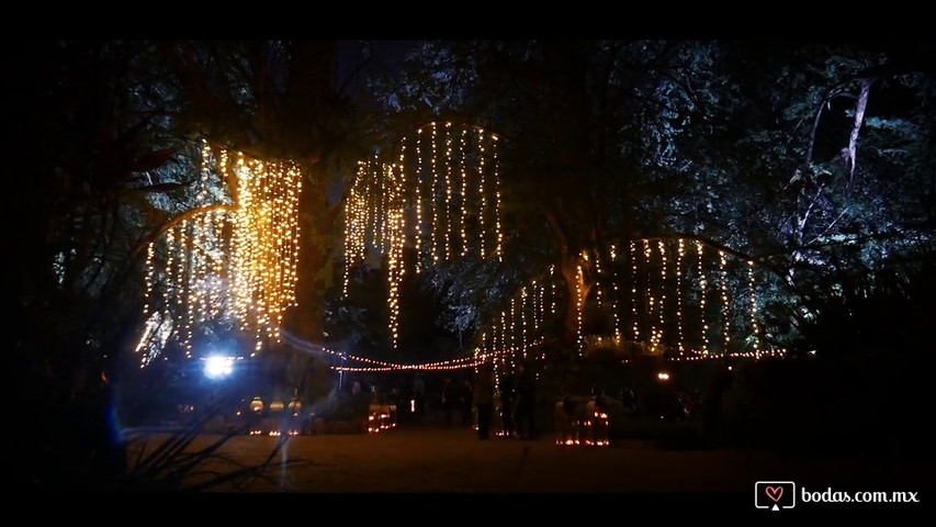 Iluminación de boda en jardín 