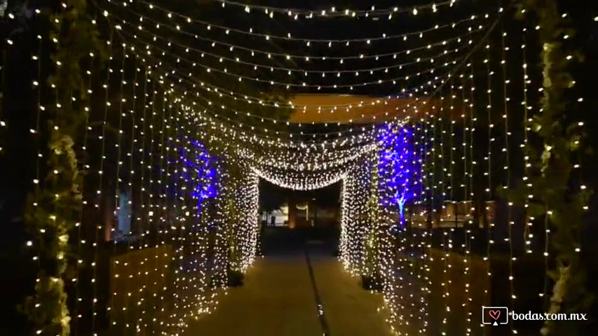 Túnel de luz hada en Hospital Zambrano 