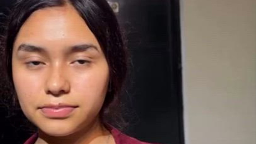 Hermosa novia 