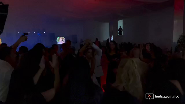 La mejor fiesta