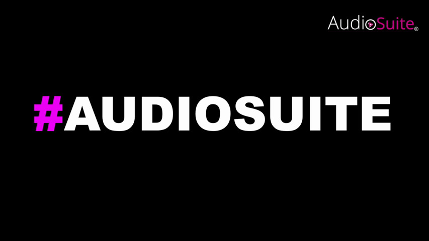 Audiosuite  Tour 2017 