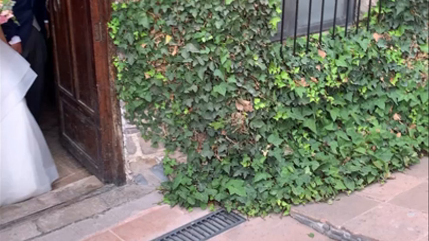 LLEGADA DE NOVIOS HACIENDA QRO