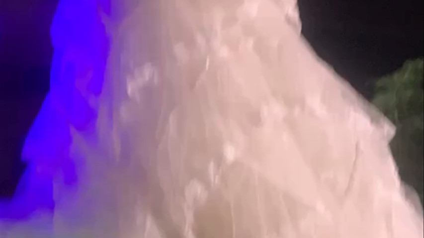 Novia 