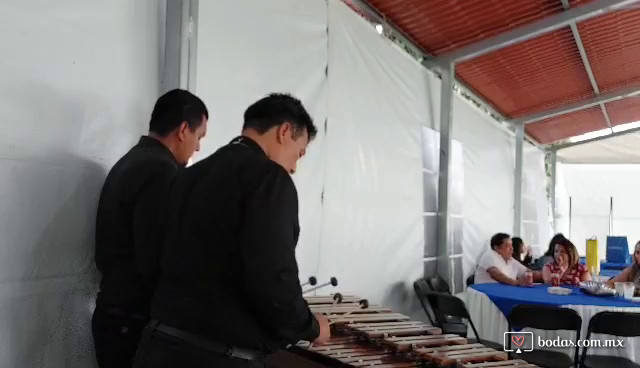 Marimba Premier