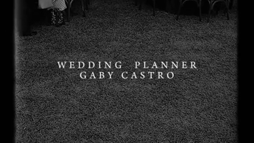 Wedding Party Planner Veracruz