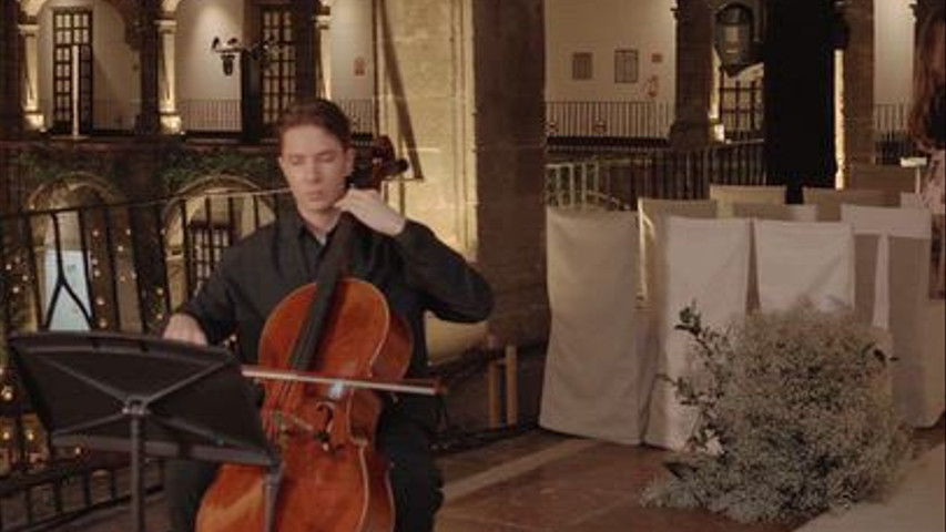 Love Story – Trío de Violines | Música para Bodas