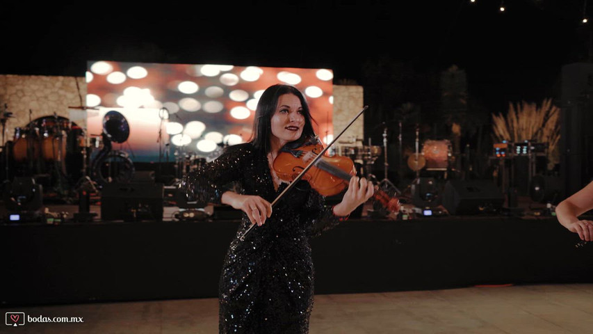 Trío de Violines Eléctricos | Clazzic Musik