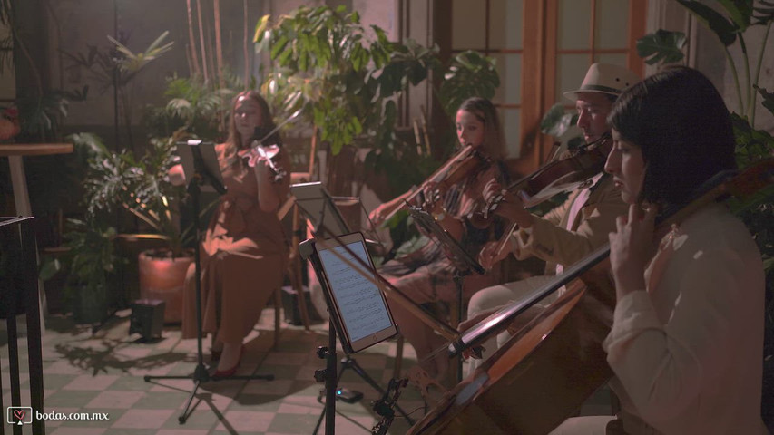 Wedding March – Violín Solista | Nadia Cano · Arreglo Moderno Clazzic