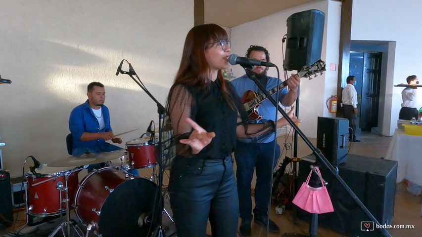 Tocando en boda, Juriquilla, Querétaro