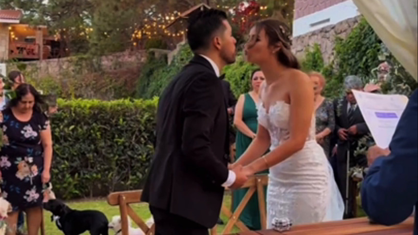 Boda Verónica & Iván