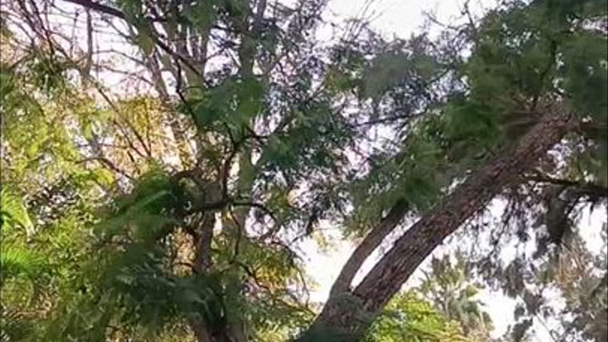 Hacienda Aquivira