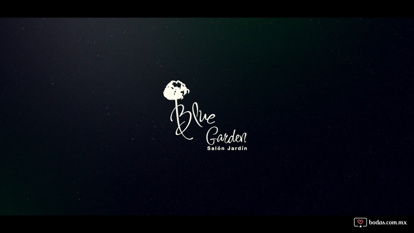 Blue garden 2020