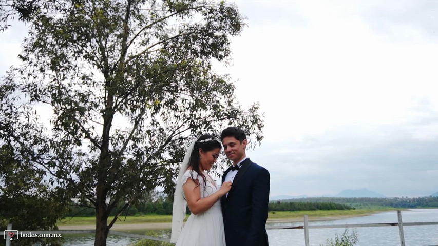 Alynka & Roy | Highlight