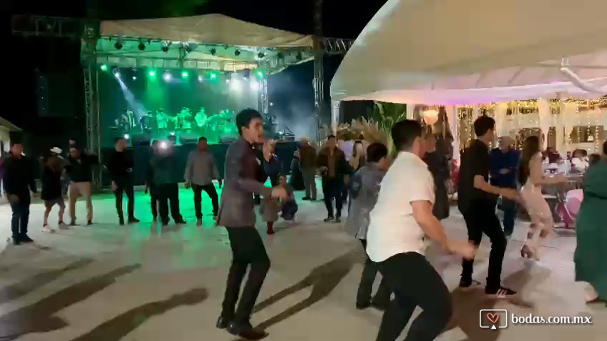 MShow Versátil Banda