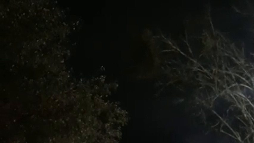 Jardín Rincón de las Estrellas