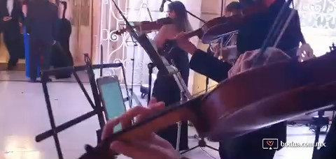 Violines para recibir invitados 