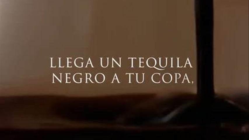 LUIS MIGUEL DARK 