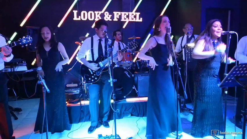 Banda Look&Feel