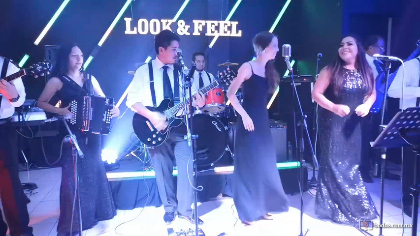 Banda Look&Feel