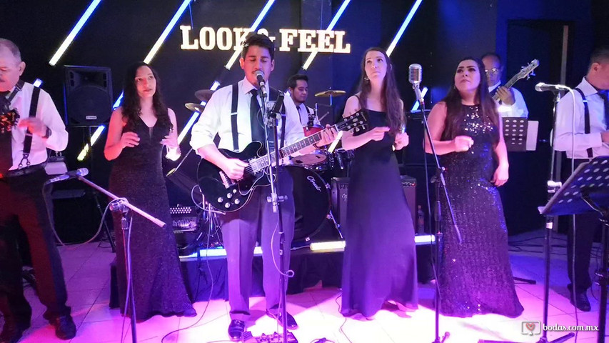 Banda Look&Feel