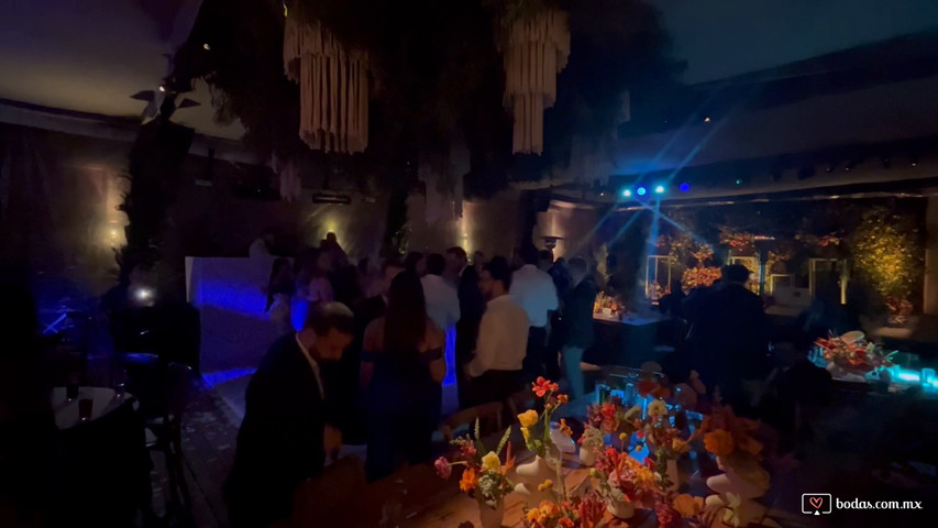 Boda Vinícola del Bosque