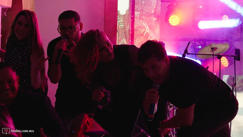 Proyecto Zero Live Music