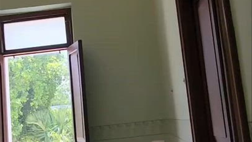 Salon menta 
