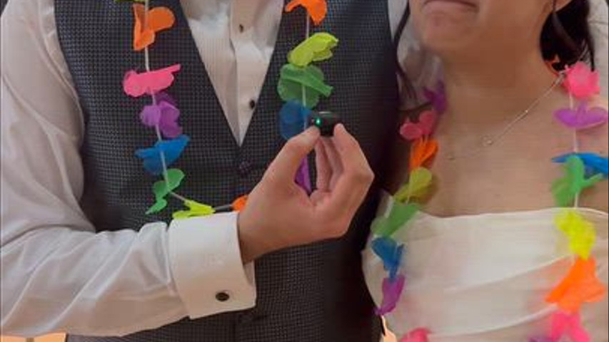 Novios kabu
