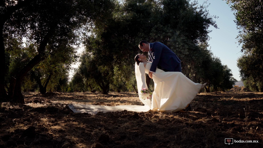 Monica & Diego - Trailer de Boda