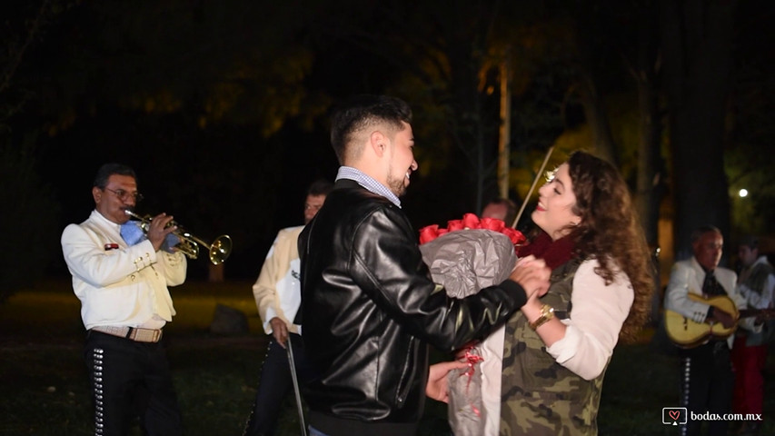 Resumen pedida de matrimonio Fany y Mario