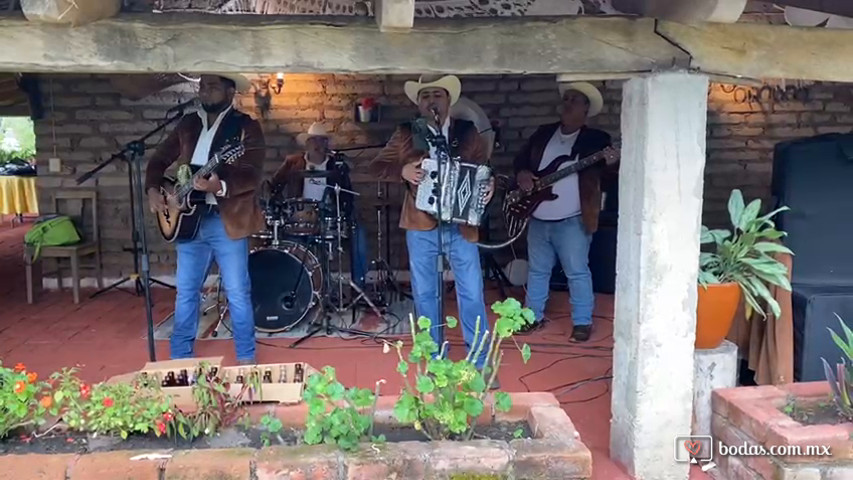 Alto Kalibre Norteño en Colima 