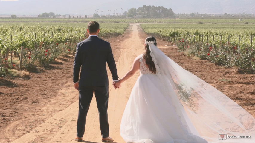 Valle de Guadalupe | Museo del Vino