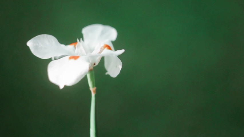 Espejito, Espejito Fotografía