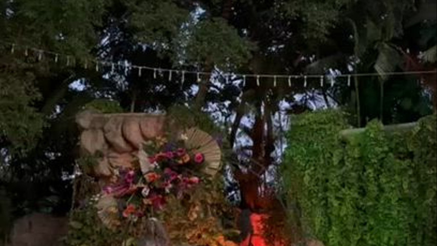 Thesan Jardín