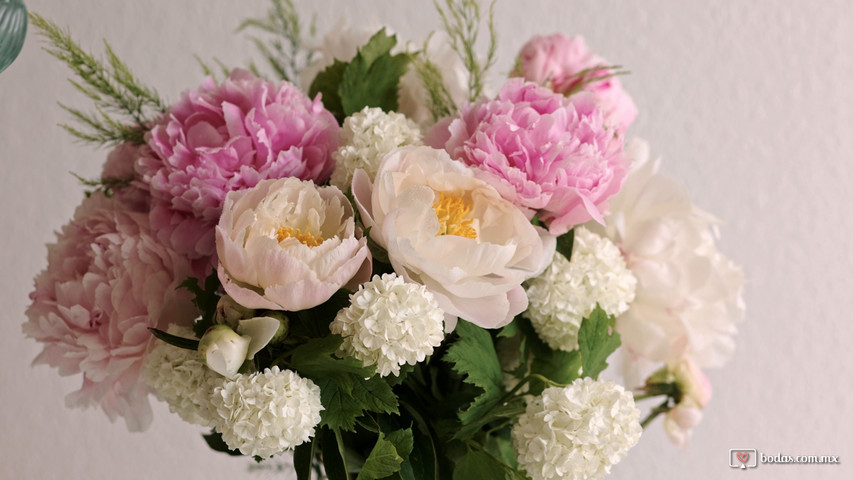 Malena Floral 