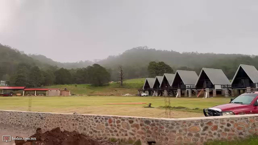 Vista