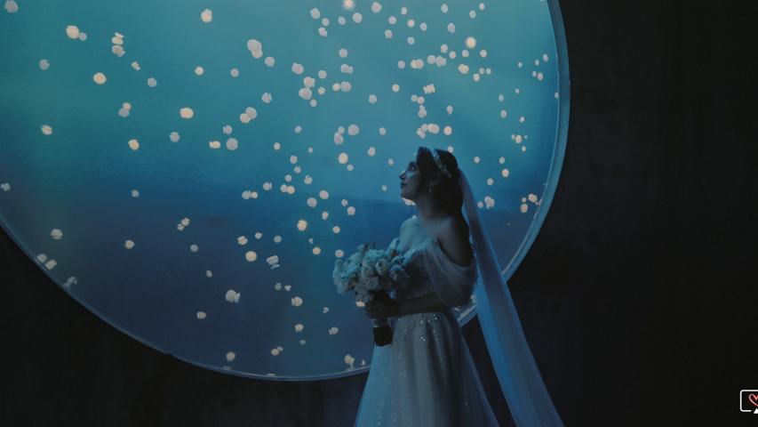 Aquarium Wedding