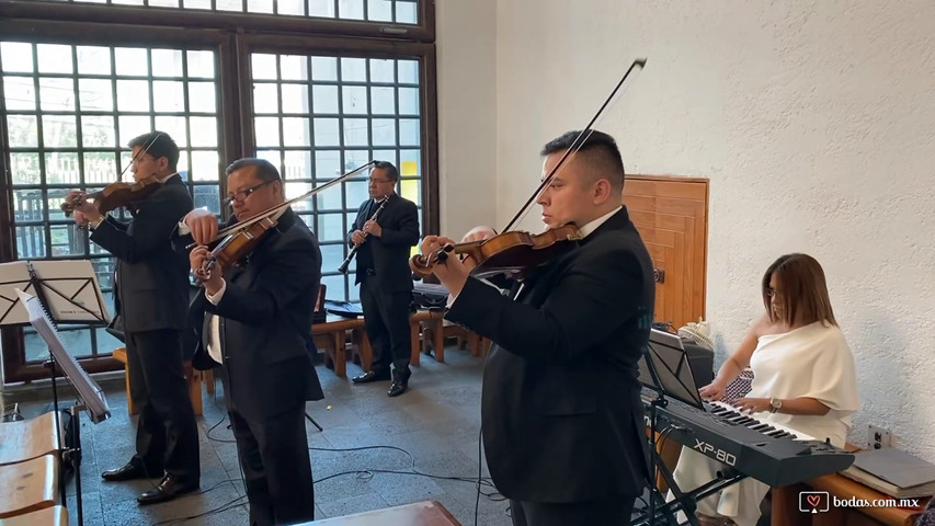 Violines para Boda