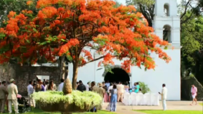 Ale y Marco. Boda en Cocoyoc, Morelos.