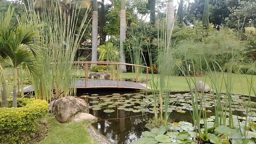 Jardín Los Amate