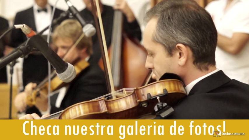 Oda a la Alegria de Beethoven