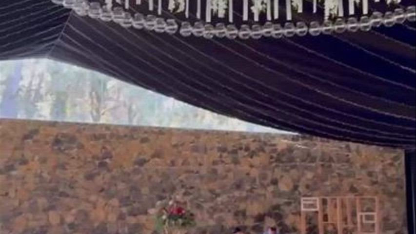 Presentación 
